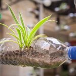 Consejos para minimizar los desperdicios en tu hotel